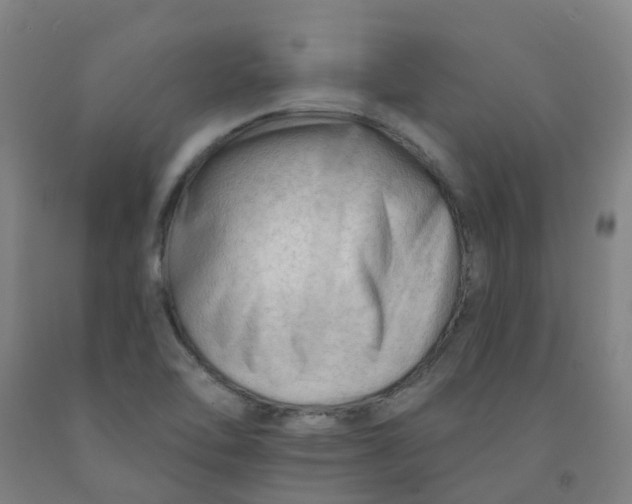 X0000091971462200709271357