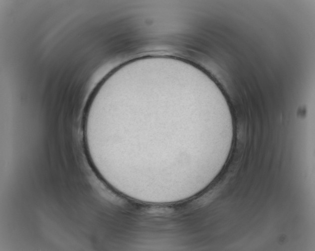 X0000091971466200709271357