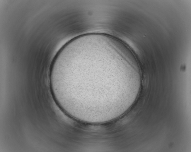 X0000091971468200709271357