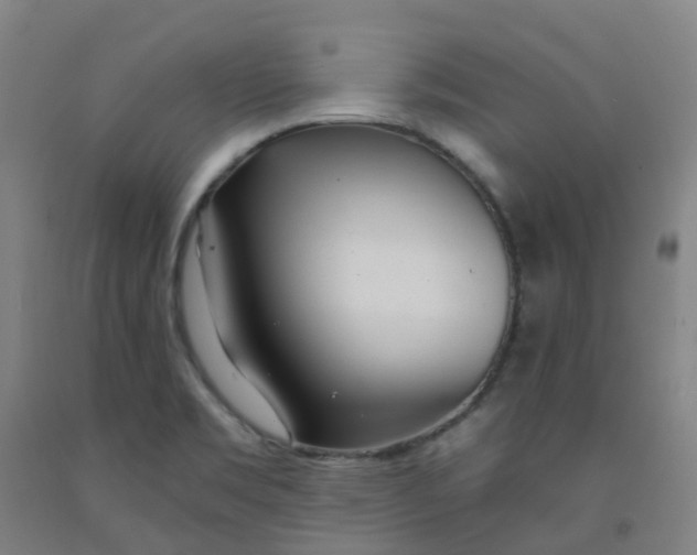 X0000091971469200709271357