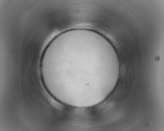 X0000091971470200709271357