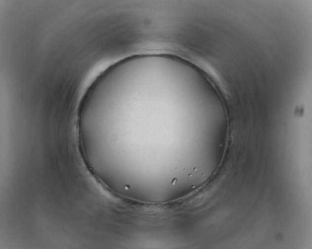X0000091971472200709271357