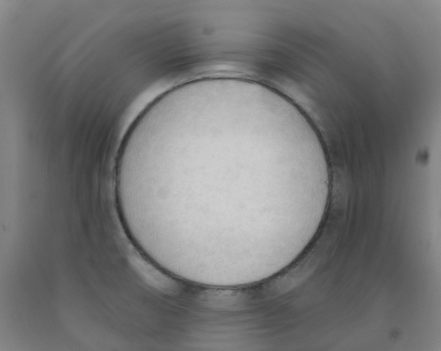 X0000091971474200709271357