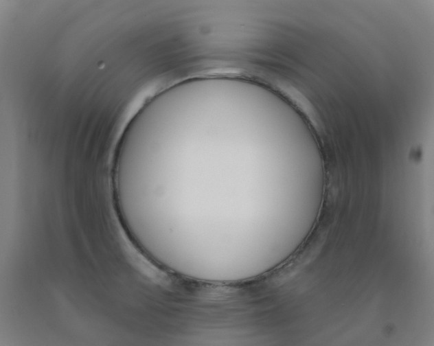 X0000091971475200709271357