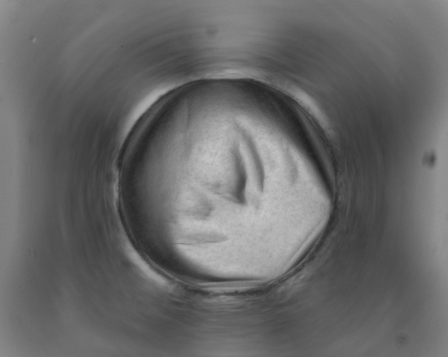 X0000091971476200709271357