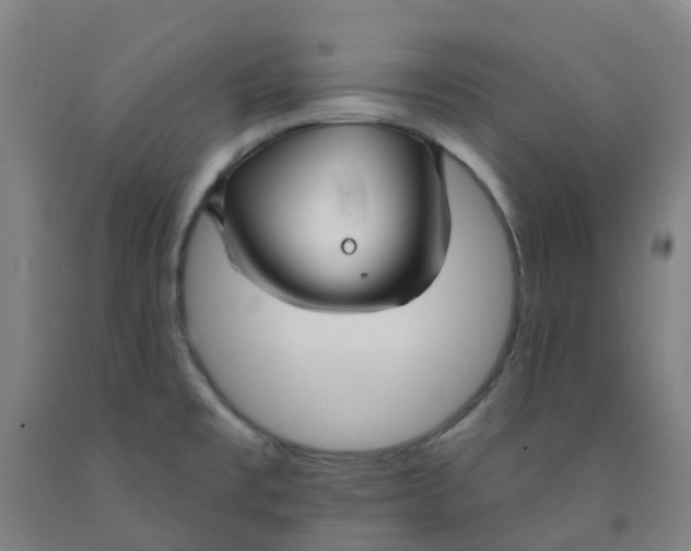 X0000091971477200709271357