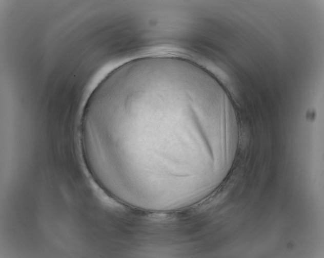 X0000091971478200709271357