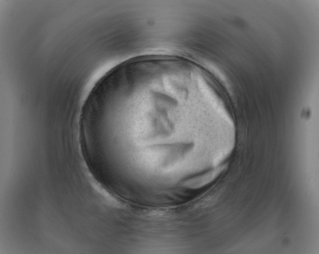 X0000091971480200709271357