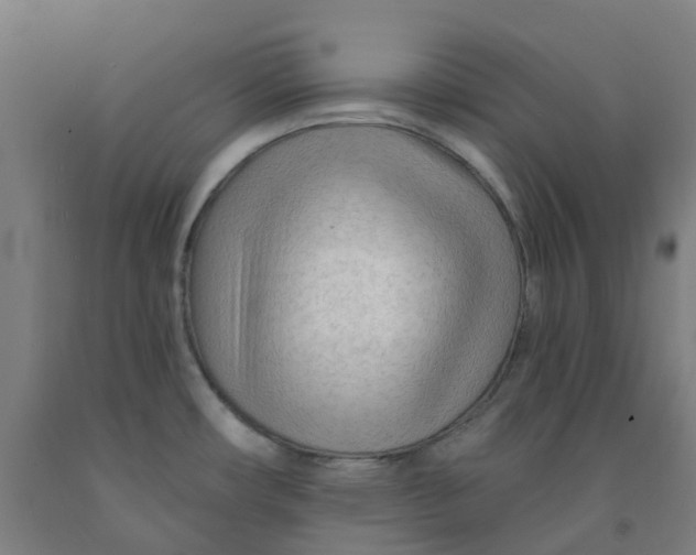 X0000091971482200709271357