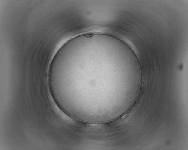 X0000091971483200709271357