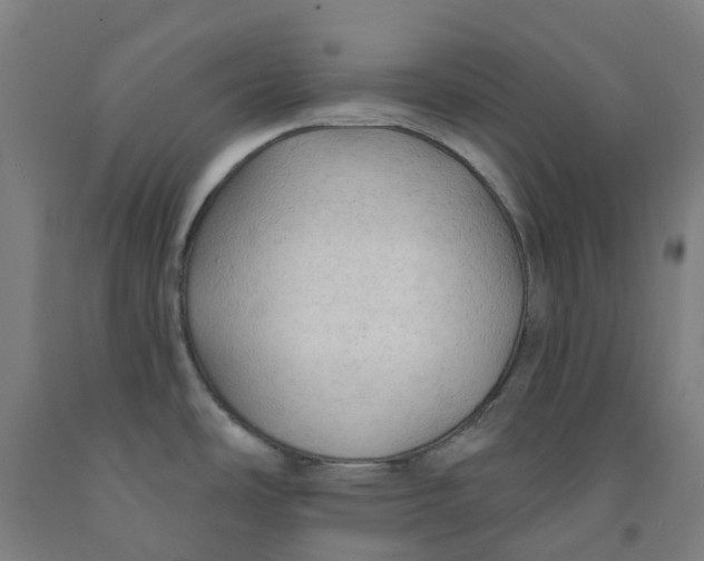 X0000091971486200709271357
