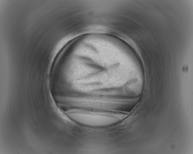 X0000091971488200709271357