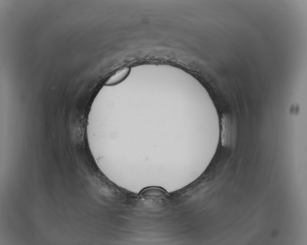 X0000091971491200709271356