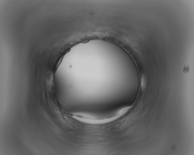 X0000091971492200709271356