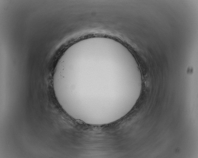 X0000091971495200709271356