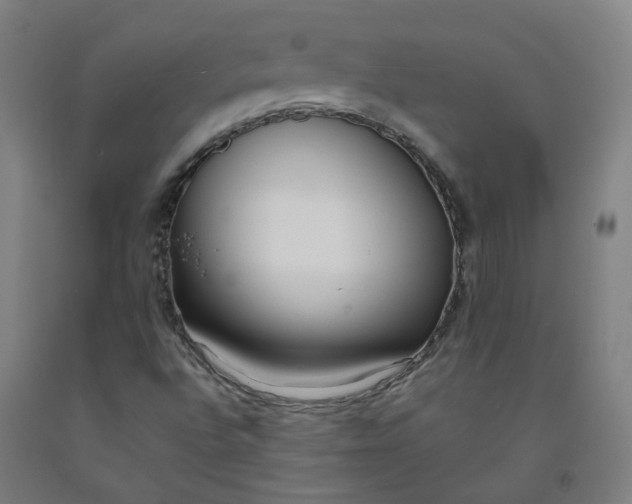 X0000091971496200709271356