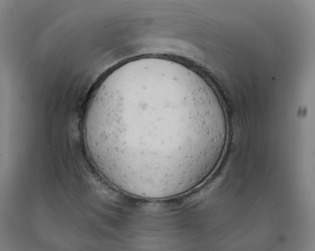 X0000091971497200709271356