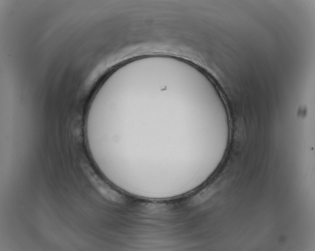 X0000091971499200709271356