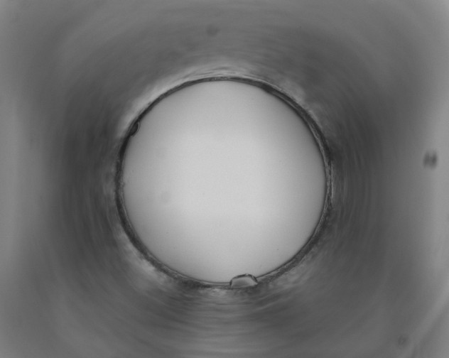 X0000091971500200709271356