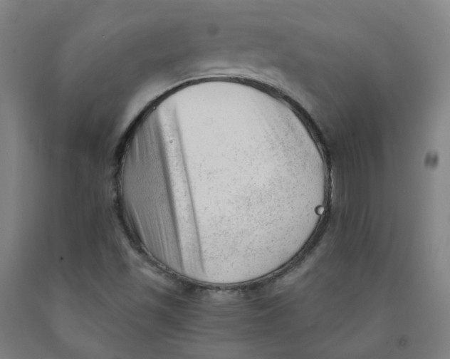 X0000091971501200709271356