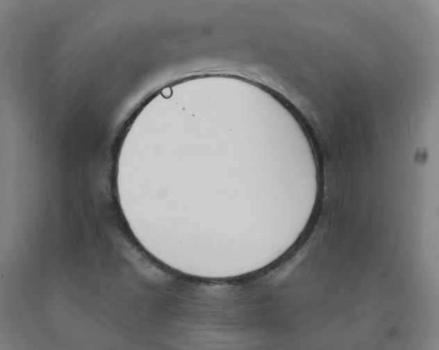 X0000091971502200709271356