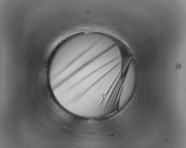 X0000091971503200709271356