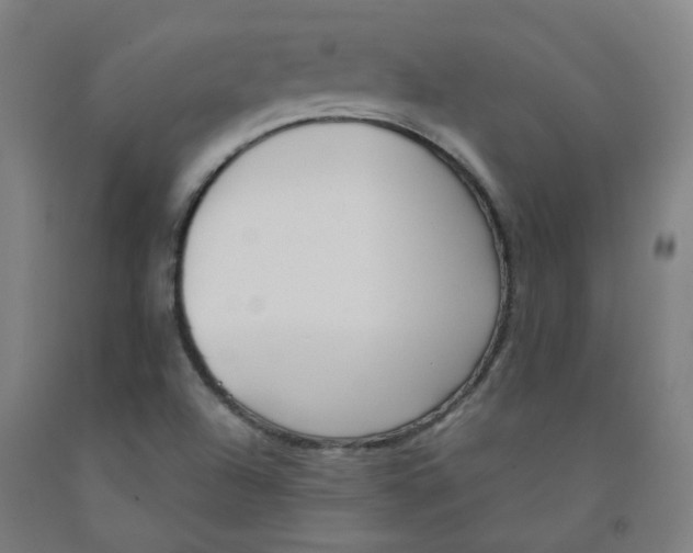 X0000091971504200709271357
