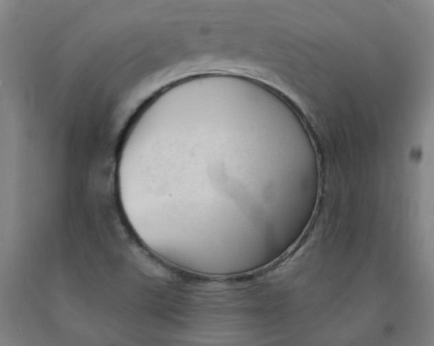 X0000091971507200709271357