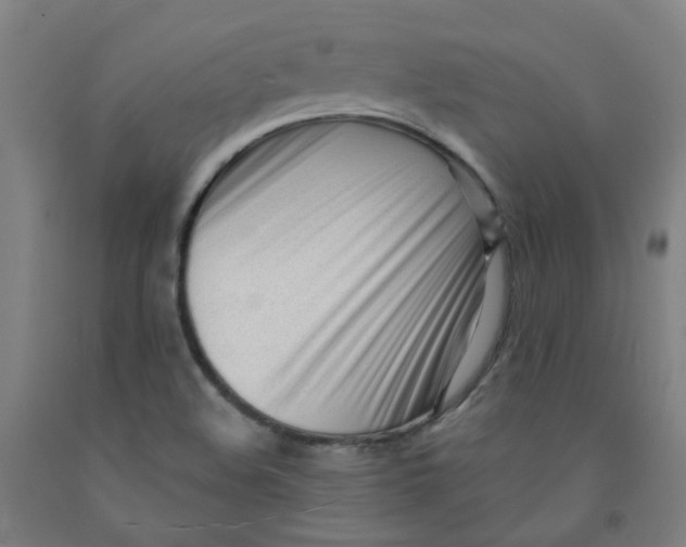 X0000091971508200709271357