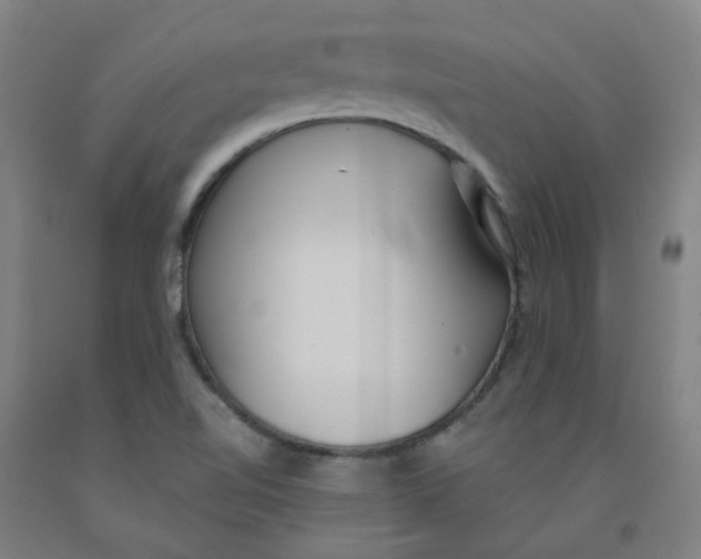 X0000091971510200709271357