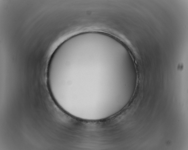 X0000091971512200709271357