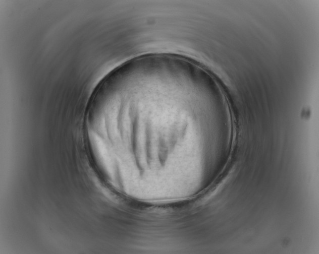 X0000091971513200709271357