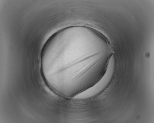 X0000091971515200709271357