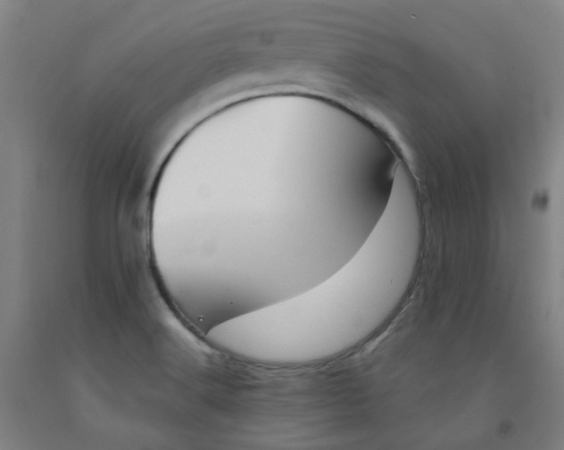 X0000091971516200709271357