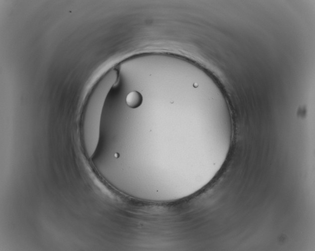 X0000091971517200709271357