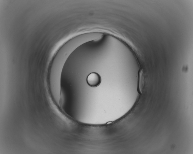 X0000091971518200709271357