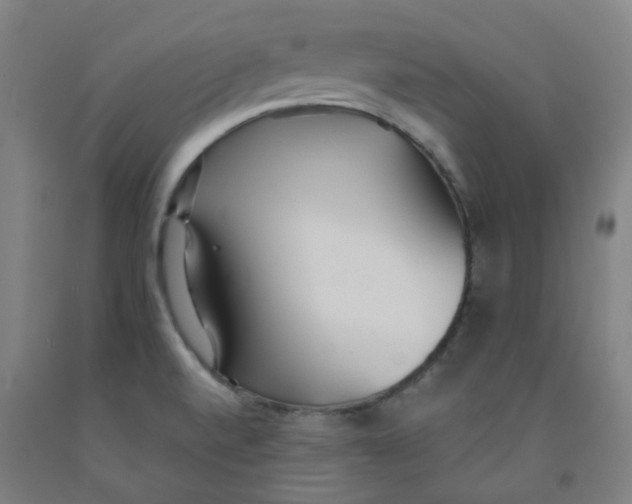 X0000091971520200709271357