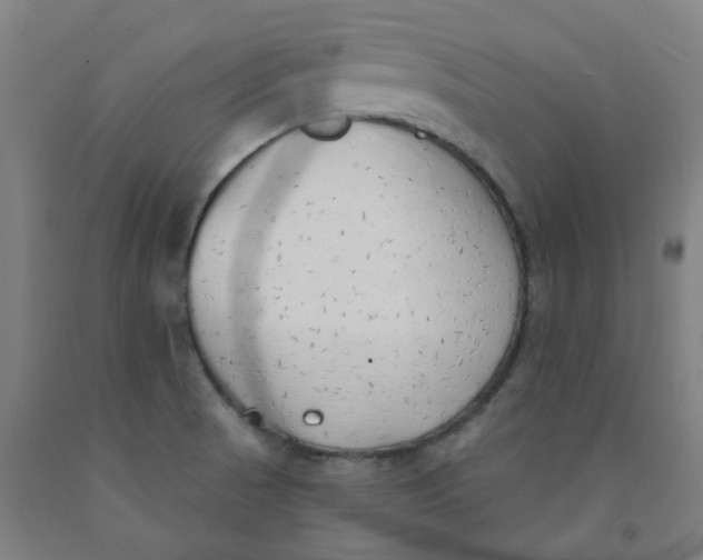 X0000091971521200709271357