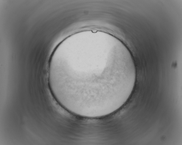 X0000091971522200709271357
