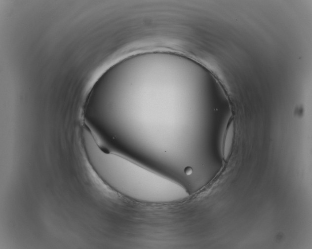X0000091971524200709271357