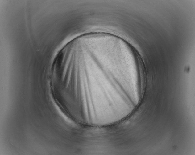 X0000091971525200709271357