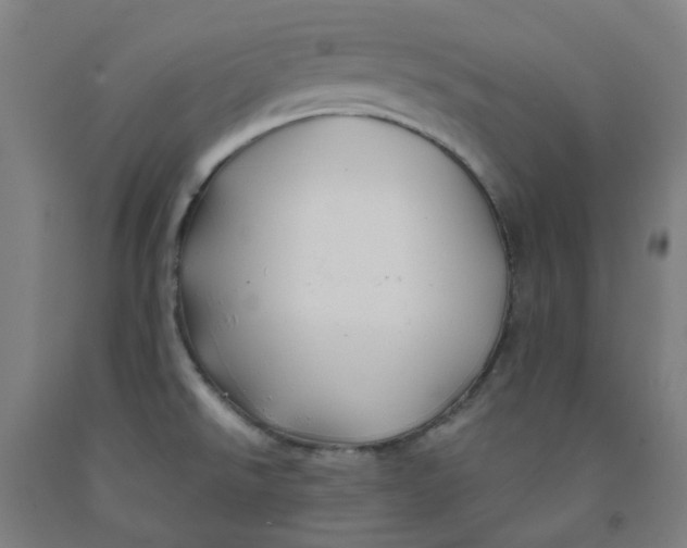 X0000091971526200709271357