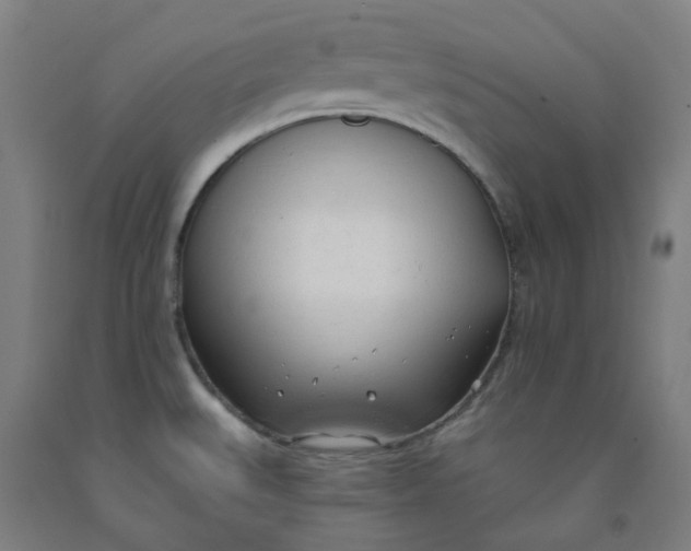 X0000091971527200709271357