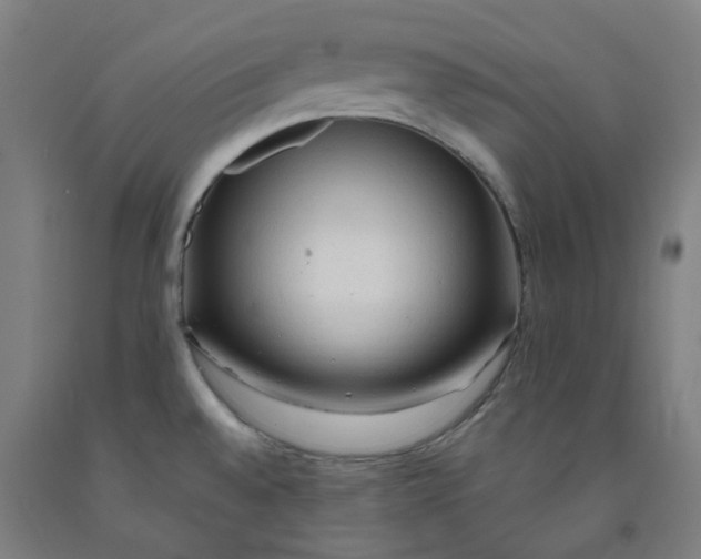X0000091971528200709271357