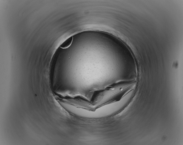 X0000091971529200709271357