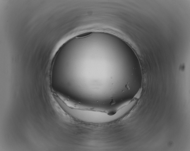 X0000091971530200709271357