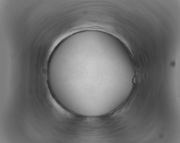 X0000091971531200709271357