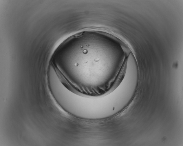 X0000091971533200709271357