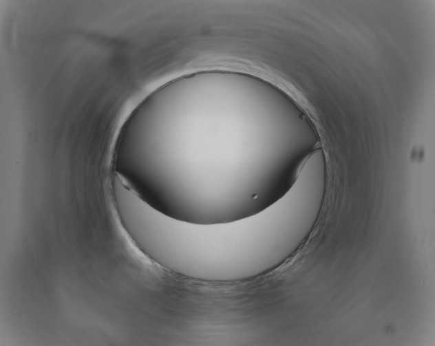 X0000091971536200709271357