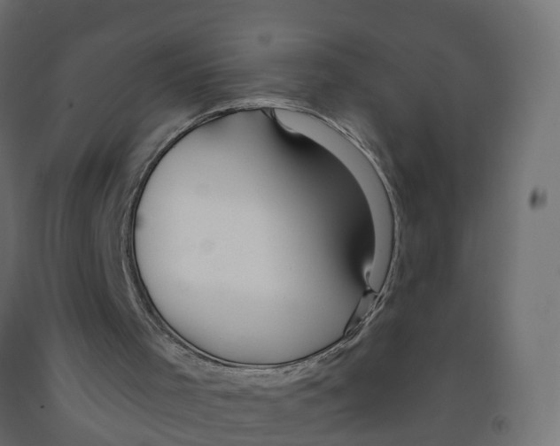 X0000091970001200710041059